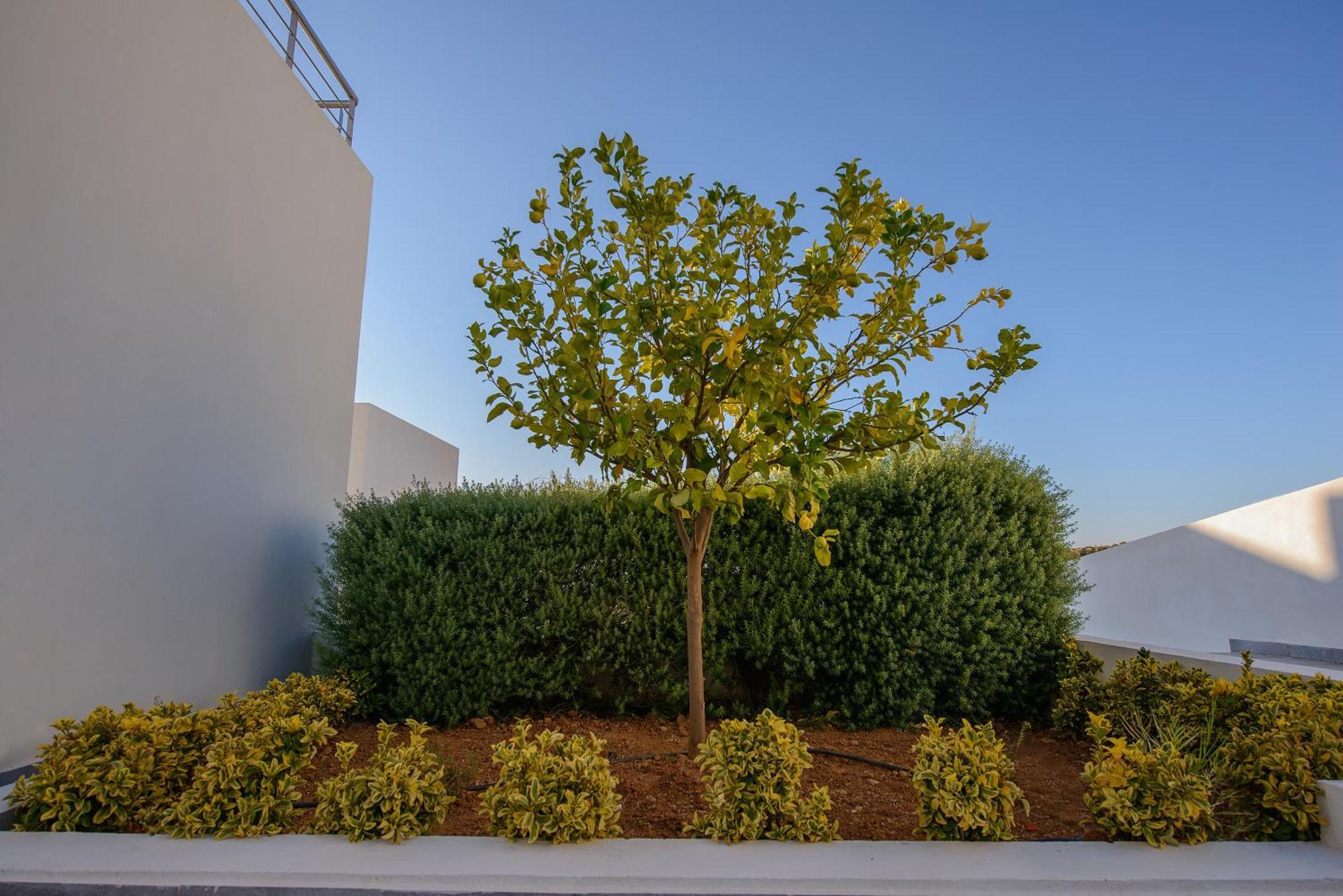 أغيا غاليني Lenikos Resort المظهر الخارجي الصورة